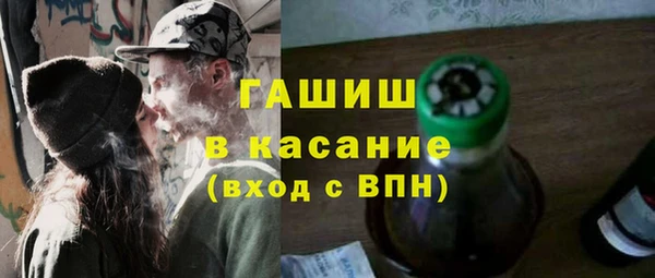индика Богданович