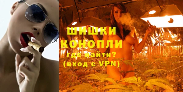 индика Богданович