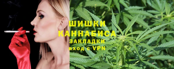 тгк Богородицк