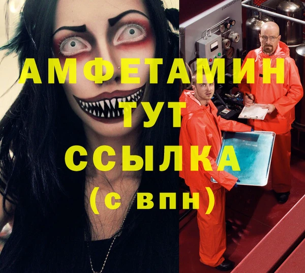 индика Богданович