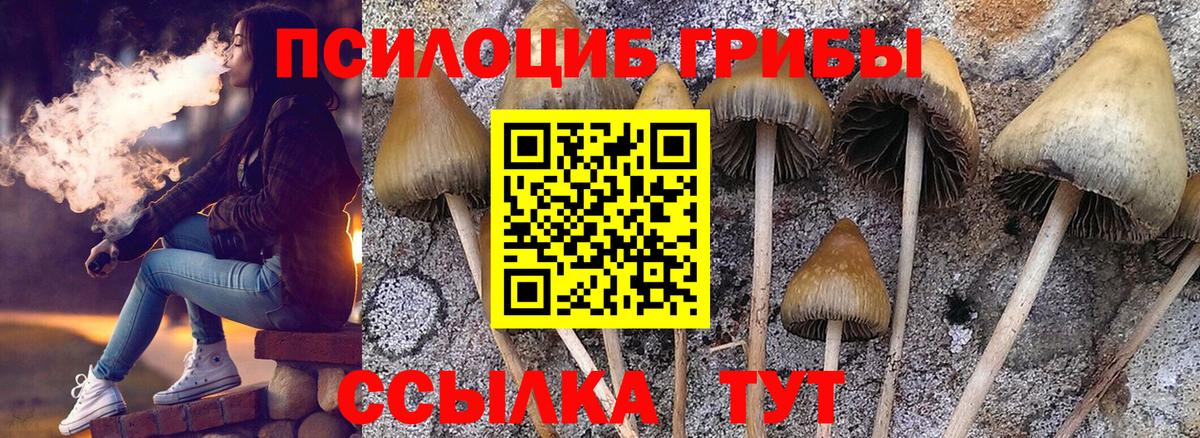 Зима  купить закладку  Вход с VPN  Псилоцибиновые грибы GOLDEN TEACHER 