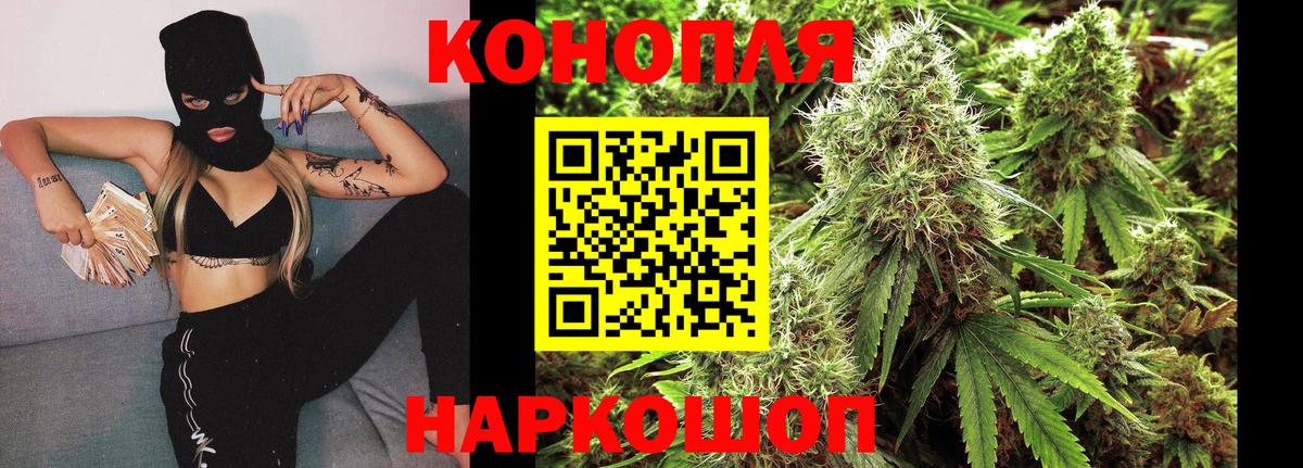 Конопля White Widow Зима